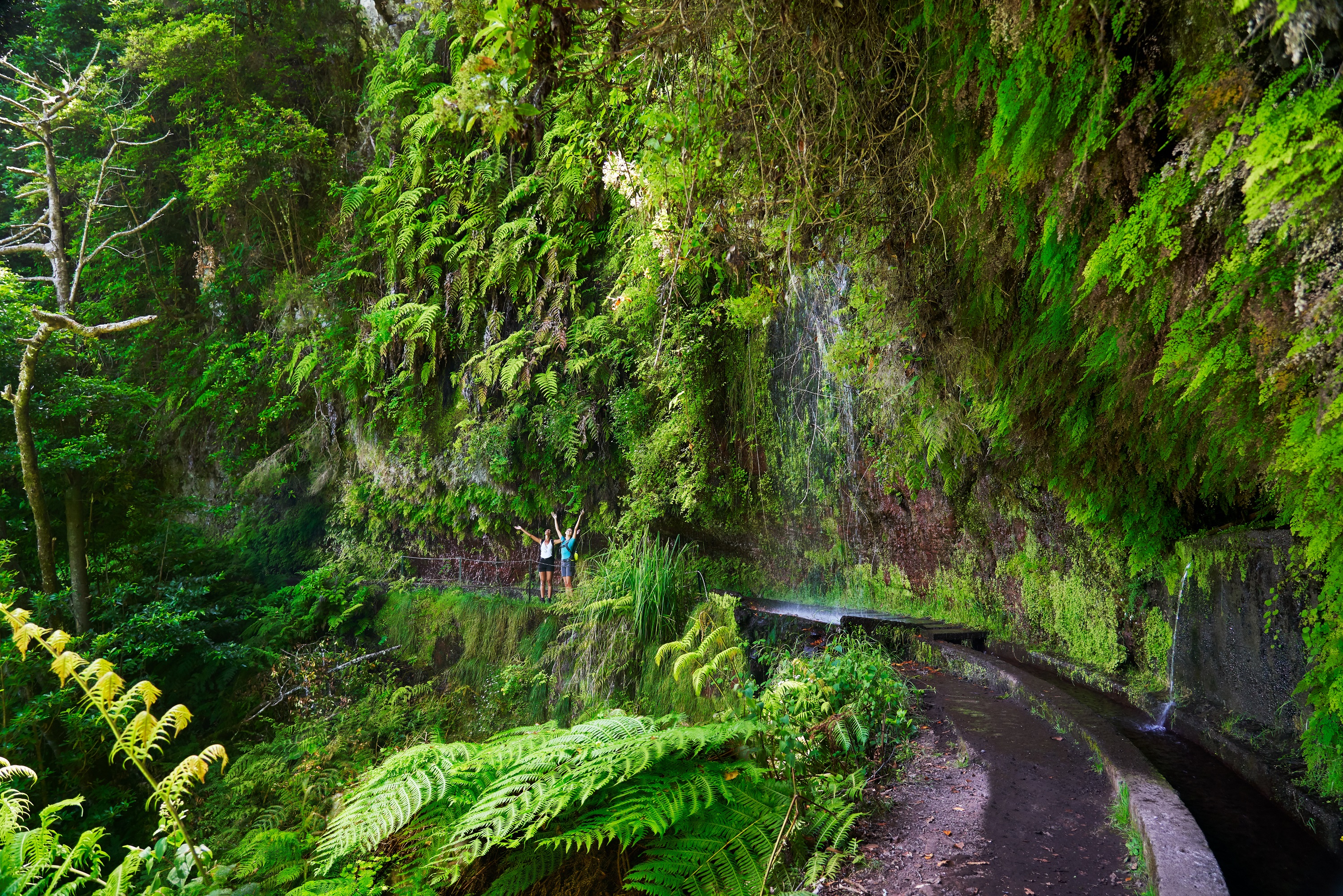 levada wandeling madeira